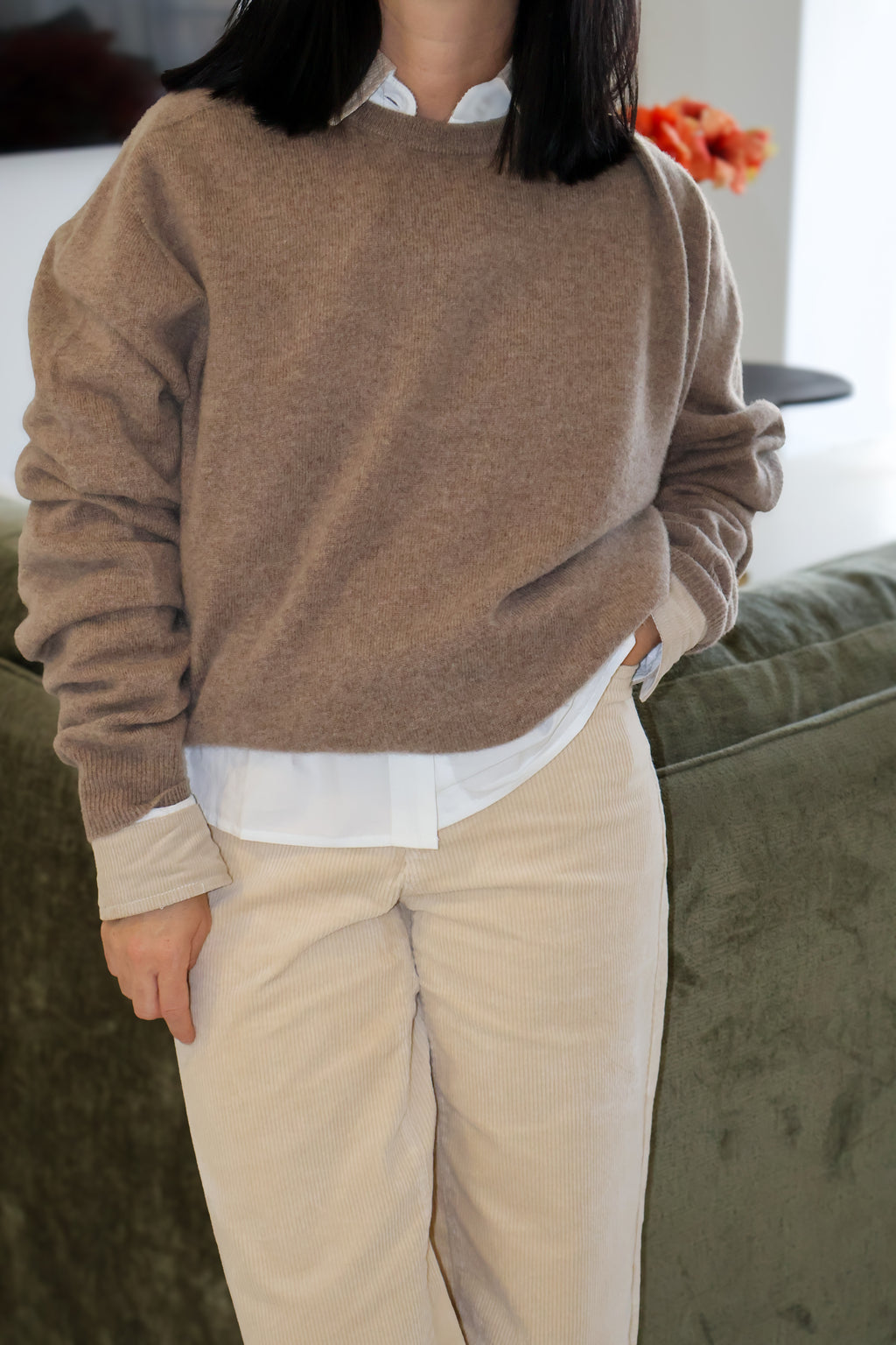 CHEMISE EN COTON ET COL VELOURS